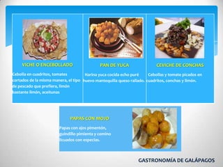 Gastronomia galapagos