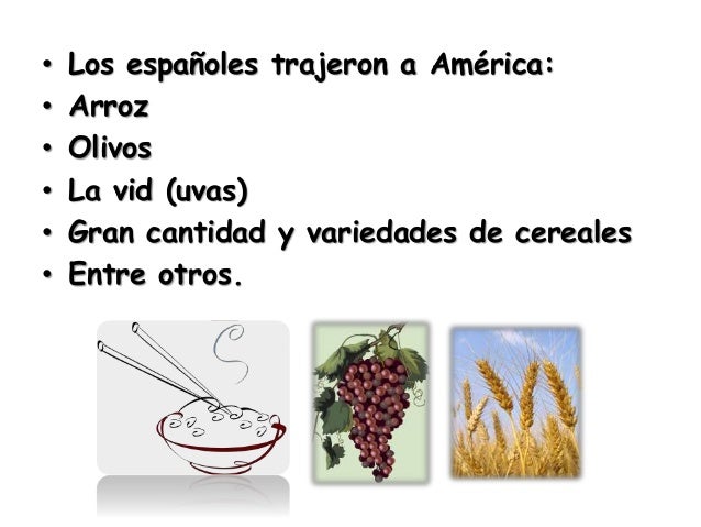 Gastronomia latinoamericana