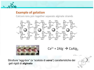 Strutture “egg-box” (a “scatola di uova”) caratteristiche dei
geli rigidi di alginato.
 