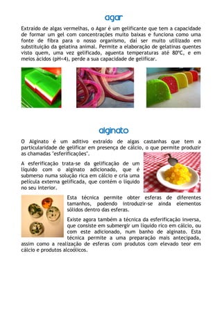 Gastronomia Molecular