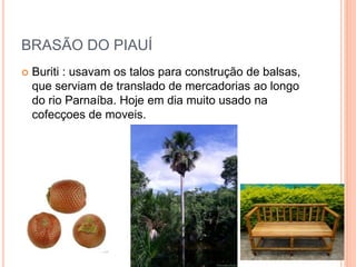 BRASÃO DO PIAUÍ
 Buriti : usavam os talos para construção de balsas,
que serviam de translado de mercadorias ao longo
do rio Parnaíba. Hoje em dia muito usado na
cofecçoes de moveis.
 