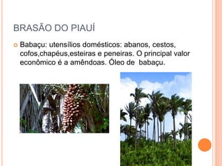 BRASÃO DO PIAUÍ
 Babaçu: utensílios domésticos: abanos, cestos,
cofos,chapéus,esteiras e peneiras. O principal valor
econômico é a amêndoas. Óleo de babaçu.
 