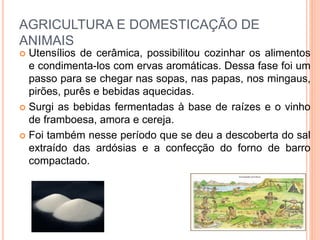 AGRICULTURA E DOMESTICAÇÃO DE
ANIMAIS
 Utensílios de cerâmica, possibilitou cozinhar os alimentos
e condimenta-los com ervas aromáticas. Dessa fase foi um
passo para se chegar nas sopas, nas papas, nos mingaus,
pirões, purês e bebidas aquecidas.
 Surgi as bebidas fermentadas à base de raízes e o vinho
de framboesa, amora e cereja.
 Foi também nesse período que se deu a descoberta do sal
extraído das ardósias e a confecção do forno de barro
compactado.
 