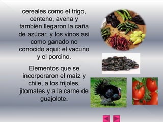 cereales como el trigo, centeno, avena y también llegaron la caña  de azúcar, y los vinos así como ganado no conocido aquí: el vacuno y el porcino.Elementos que se incorporaron el maíz y chile, a los frijoles, jitomates y a la carne de guajolote.