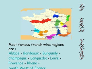 THE  FRENCH  VINEYARDS Most famous french wine regions are : Alsace  -  Bordeaux  -  Burgundy  -  Champagne  -  Languedoc -  Loire  -  Provence  -  Rhone -  South West of France 
