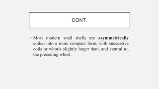 CONT.
• Most modern snail shells are asymmetrically
coiled into a more compact form, with successive
coils or whorls slightly larger than, and ventral to,
the preceding whorl.
 