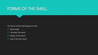 FORMS OF THE SHELL
The forms of the shell depend on the
 Spire angle
 Number the whorl
 Shape of the whorl
 Size of the last whorl
 