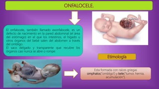 El onfalocele, también llamado exonfalocele, es un
defecto de nacimiento en la pared abdominal (el área
del estómago) en el que los intestinos, el hígado u
otros órganos del bebé salen del abdomen a través
del ombligo.
El saco delgado y transparente que recubre los
órganos casi nunca se abre o rompe.
Esta formada con raíces griegas
omphalos(“ombligo”) y kele(“tumor, hernia,
acumulación”).
 