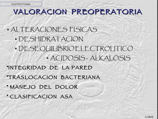 VALORACION  PREOPERATORIA GASTROTOMIA INTEGRIDAD  DE  LA PARED  TRASLOCACION  BACTERIANA MANEJO  DEL  DOLOR CLASIFICACION  ASA CAMZ 