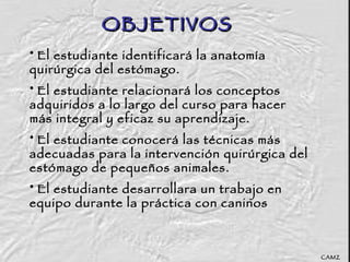 OBJETIVOS    El estudiante identificará la anatomía quirúrgica del estómago. El estudiante relacionará los conceptos adquiridos a lo largo del curso para hacer más integral y eficaz su aprendizaje. El estudiante conocerá las técnicas más adecuadas para la intervención quirúrgica del estómago de pequeños animales. El estudiante desarrollara un trabajo en equipo durante la práctica con caninos CAMZ 