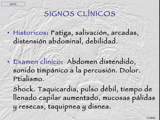 SIGNOS CLÍNICOS Historicos : Fatiga, salivación, arcadas, distensión abdominal, debilidad. Examen clínico :   Abdomen distendido, sonido timpánico a la percusión. Dolor. Ptialismo. Shock. Taquicardia, pulso débil, tiempo de llenado capilar aumentado, mucosas pálidas y resecas, taquipnea y disnea. SDVG CAMZ 