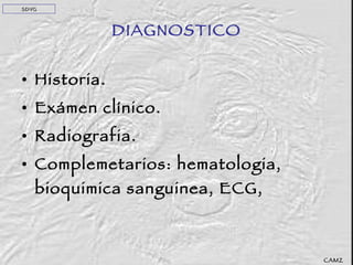 DIAGNOSTICO Historia. Exámen clínico. Radiografia. Complemetarios: hematologia, bioquimica sanguinea, ECG,  SDVG CAMZ 