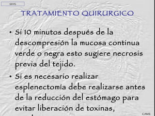 TRATAMIENTO QUIRURGICO Si 10 minutos después de la descompresión la mucosa continua verde o negra esto sugiere necrosis previa del tejido. Si es necesario realizar esplenectomía debe realizarse antes de la reducción del estómago para evitar liberación de toxinas, trombos. La gastropexia puede ser realizada. CAMZ SDVG 