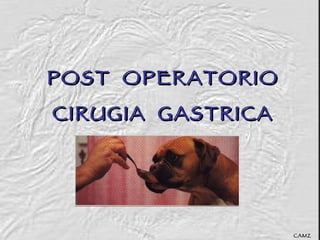 POST  OPERATORIO CIRUGIA  GASTRICA CAMZ 