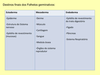 Destinos finais dos Folhetos germinativos: Ectoderma Mesoderma Endoderma -Epiderme -Estrutura do Sistema nervoso -Epitélio de revestimento (mucosas) Derme Músculo Cartilagem Sangue -Medula óssea -Órgãos do sistema reprodutor -Epitélio de revestimento do trato digestório -Fígado  -Pâncreas -Sistema Respiratório 