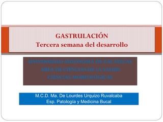 GASTRULACIÓN
  Tercera semana del desarrollo

UNIVERSIDAD AUTÓNOMA DE ZACATECAS
    AREA DE CIENCIAS DE LA SALUD
      CIE...