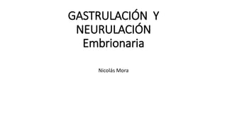 GASTRULACIÓN Y
NEURULACIÓN
Embrionaria
Nicolás Mora
 