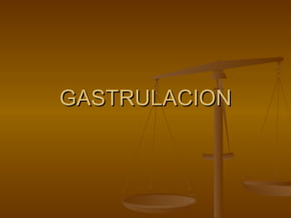 GASTRULACION 