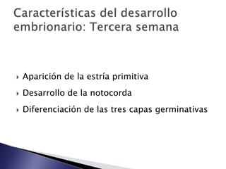    Aparición de la estría primitiva
   Desarrollo de la notocorda
   Diferenciación de las tres capas germinativas
 