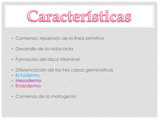 • Comienzo: Aparición de la línea primitiva
• Desarrollo de la notocorda
• Formación del disco trilaminar
• Diferenciación de las tres capas germinativas
• Ectodermo
• Mesodermo
• Endodermo
• Comienzo de la morfogenia
 