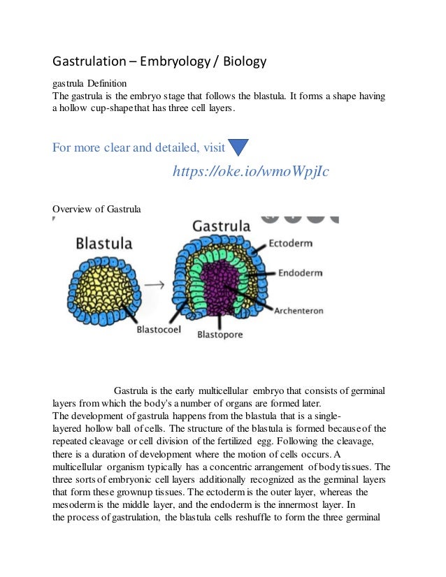 Gastrulation – Embryology / Biology
gastrula Definition
The gastrula is the embryo stage that follows the blastula. It forms a shape having
a hollow cup-shapethat has three cell layers.
For more clear and detailed, visit
https://oke.io/wmoWpjIc
Overview of Gastrula
Gastrula is the early multicellular embryo that consists of germinal
layers from which the body's a number of organs are formed later.
The development of gastrula happens from the blastula that is a single-
layered hollow ball of cells. The structure of the blastula is formed becauseof the
repeated cleavage or cell division of the fertilized egg. Following the cleavage,
there is a duration of development where the motion of cells occurs. A
multicellular organism typically has a concentric arrangement of bodytissues. The
three sorts of embryonic cell layers additionally recognized as the germinal layers
that form these grownup tissues. The ectoderm is the outer layer, whereas the
mesoderm is the middle layer, and the endoderm is the innermost layer. In
the process ofgastrulation, the blastula cells reshuffle to form the three germinal
 
