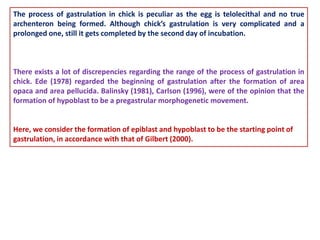 The process of gastrulation in chick is peculiar as the egg is telolecithal and no true
archenteron being formed. Although chick’s gastrulation is very complicated and a
prolonged one, still it gets completed by the second day of incubation.
There exists a lot of discrepencies regarding the range of the process of gastrulation in
chick. Ede (1978) regarded the beginning of gastrulation after the formation of area
opaca and area pellucida. Balinsky (1981), Carlson (1996), were of the opinion that the
formation of hypoblast to be a pregastrular morphogenetic movement.
Here, we consider the formation of epiblast and hypoblast to be the starting point of
gastrulation, in accordance with that of Gilbert (2000).
 