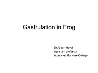 Gastrulation in Frog
Dr. Gauri Haval
Assistant professor
Abasaheb Garware College
 