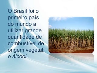 O Brasil foi o primeiro país do mundo a utilizar grande quantidade de combustível de origem vegetal:  o álcool. 