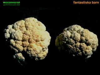 Marknadsföring 2.0 för Astarcan