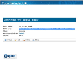Copy the Index URL
 