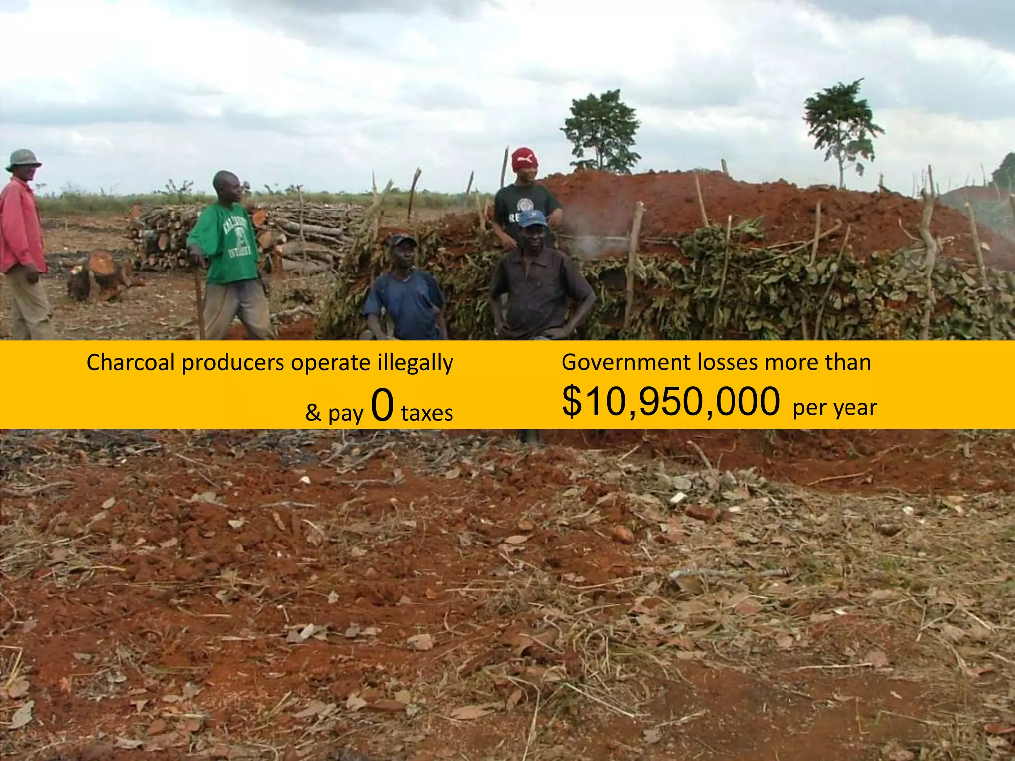 Government losses more than$10,950,000 per yearCharcoal producers operate illegally& pay 0 taxes