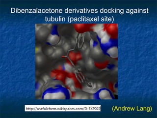 Dibenzalacetone derivatives docking against
          tubulin (paclitaxel site)




                               (Andrew Lang)
 