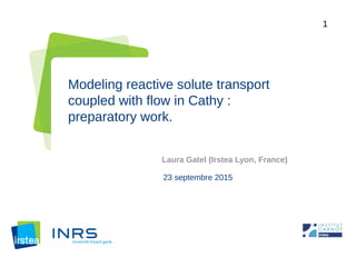 1
Modeling reactive solute transport
coupled with flow in Cathy :
preparatory work.
Laura Gatel (Irstea Lyon, France)
23 septembre 2015
 