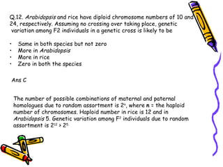 Q.12.  Arabidopsis  and rice have diploid chromosome numbers of 10 and  24, respectively. Assuming no crossing over taking place, genetic variation among F2 individuals in a genetic cross is likely to be Same in both species but not zero More in  Arabidopsis More in rice Zero in both the species Ans C The number of possible combinations of maternal and paternal homologues due to random assortment is 2 n , where  n  = the haploid number of chromosomes. Haploid number in rice is 12 and in  Arabidopsis  5. Genetic variation among F 2  individuals due to random assortment is 2 12  > 2 5. 