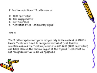 2. Positive selection of T cells ensures MHC restriction TCR engagements Self tolerance Activation by co – stimulatory signal Ans A The T cell receptors recognize antigen only in the context of MHC's. Hence T cells are tuned to recognize host MHC first. Positive selection ensures the T cell only reacts to self MHC (MHC restriction) and takes place in the cortical region of the thymus. T cells that do not recognize self MHC die via Apoptosis. 
