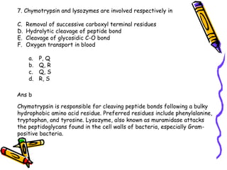 7. Chymotrypsin and lysozymes are involved respectively in Removal of successive carboxyl terminal residues Hydrolytic cleavage of peptide bond Cleavage of glycosidic C-O bond Oxygen transport in blood P, Q Q, R Q, S R, S Ans b Chymotrypsin is responsible for cleaving peptide bonds following a bulky hydrophobic amino acid residue. Preferred residues include phenylalanine, tryptophan, and tyrosine. Lysozyme, also known as muramidase attacks the peptidoglycans found in the cell walls of bacteria, especially Gram-positive bacteria.  