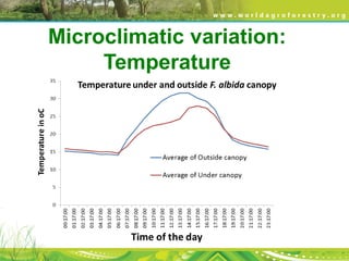 Microclimatic variation:
Temperature
 