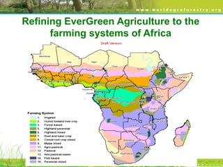 Refining EverGreen Agriculture to the
farming systems of Africa
 