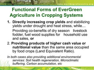Functional Forms of EverGreen
Agriculture in Cropping Systems
1. Directly increasing crop yields and stabilizing 
yields under drought and heat stress, while…
Providing co-benefits of dry season  livestock 
fodder, fuel wood supplies for  household use 
and sales, or
2. Providing products of higher cash value or
nutritional value than the same area occupied 
by food crops (Land Equivalent Ratio).
In both cases also providing additional environmental
services: Soil health regeneration, Microclimatic
buffering, Carbon accumulation, etc
 
