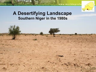 A Desertifying Landscape
Southern Niger in the 1980s
 