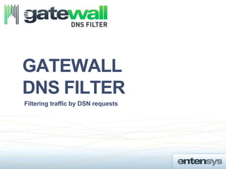 GATEWALL
DNS FILTER
Filtering traffic by DSN requests
 
