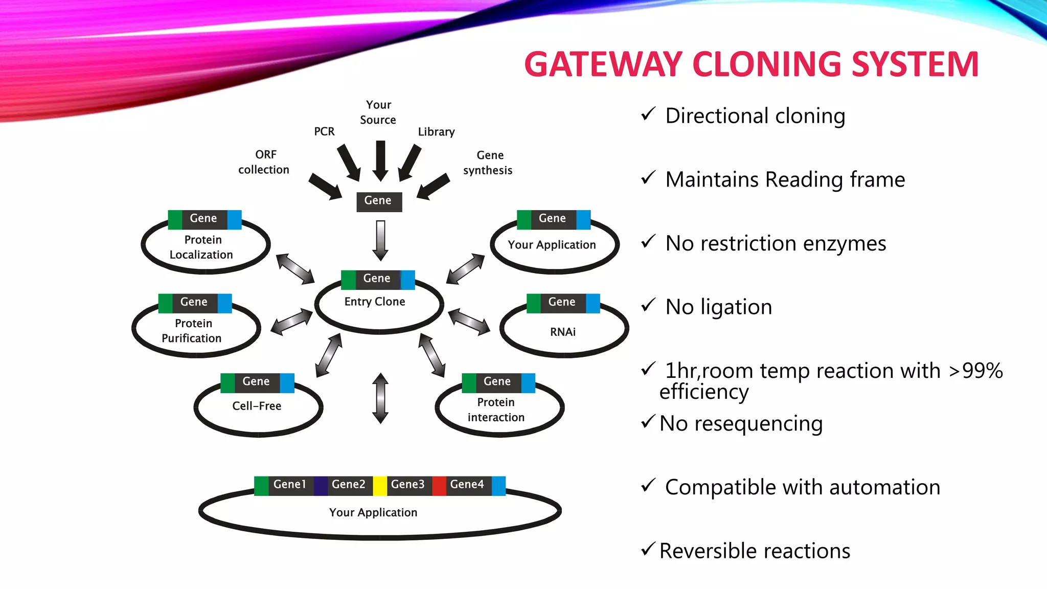 Your Application
Gene1 Gene2 Gene3 Gene4
Your Application
Gene
Protein
Localization
Gene
Gene
Protein
Purification
Gene
RNAi
Gene
Cell-Free
Gene
Protein
interaction
Gene
Gene
Entry Clone
PCR
Gene
synthesis
ORF
collection
Library
Your
Source
GATEWAY CLONING SYSTEM
 Directional cloning
 Maintains Reading frame
 No restriction enzymes
 No ligation
 1hr,room temp reaction with >99%
efficiency
No resequencing
 Compatible with automation
Reversible reactions
 