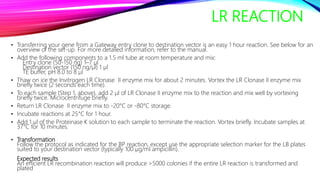 LR REACTION
• Transferring your gene from a Gateway entry clone to destination vector is an easy 1 hour reaction. See below for an
overview of the set-up. For more detailed information, refer to the manual.
• Add the following components to a 1.5 ml tube at room temperature and mix:
Entry clone (50-150 ng) 1–7 µl
Destination vector (150 ng/µl) 1 µl
TE buffer, pH 8.0 to 8 µl
• Thaw on ice the Invitrogen LR Clonase II enzyme mix for about 2 minutes. Vortex the LR Clonase II enzyme mix
briefly twice (2 seconds each time).
• To each sample (Step 1, above), add 2 µl of LR Clonase II enzyme mix to the reaction and mix well by vortexing
briefly twice. Microcentrifuge briefly.
• Return LR Clonase II enzyme mix to -20°C or -80°C storage.
• Incubate reactions at 25°C for 1 hour.
• Add 1 µl of the Proteinase K solution to each sample to terminate the reaction. Vortex briefly. Incubate samples at
37°C for 10 minutes.
• Transformation
Follow the protocol as indicated for the BP reaction, except use the appropriate selection marker for the LB plates
suited to your destination vector (typically 100 µg/ml ampicillin).
Expected results
An efficient LR recombination reaction will produce >5000 colonies if the entire LR reaction is transformed and
plated
 