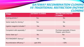 GATEWAY RECOMBINATION CLONING
VS TRADITIONAL RESTRICTION ENZYME
CLONING
Steps GATEWAY CLONING RESTRICTION ENZYME
CLONING
Existing primers ? Yes No
Vector ready for cloning ? Yes No
Ligation reagents included ? Yes No
Competent cells separately ? Included Purchase separately: 0 hours
Prepare: upto 6hours
Vector clean up ? No Yes
PCR FRAGMENT cleanup ? No Yes
Recombination efficiency ? upto 95% ~50%
 
