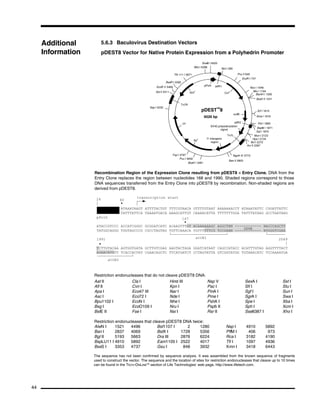 Gateway Cloning Technology - Instruction Manual | PDF