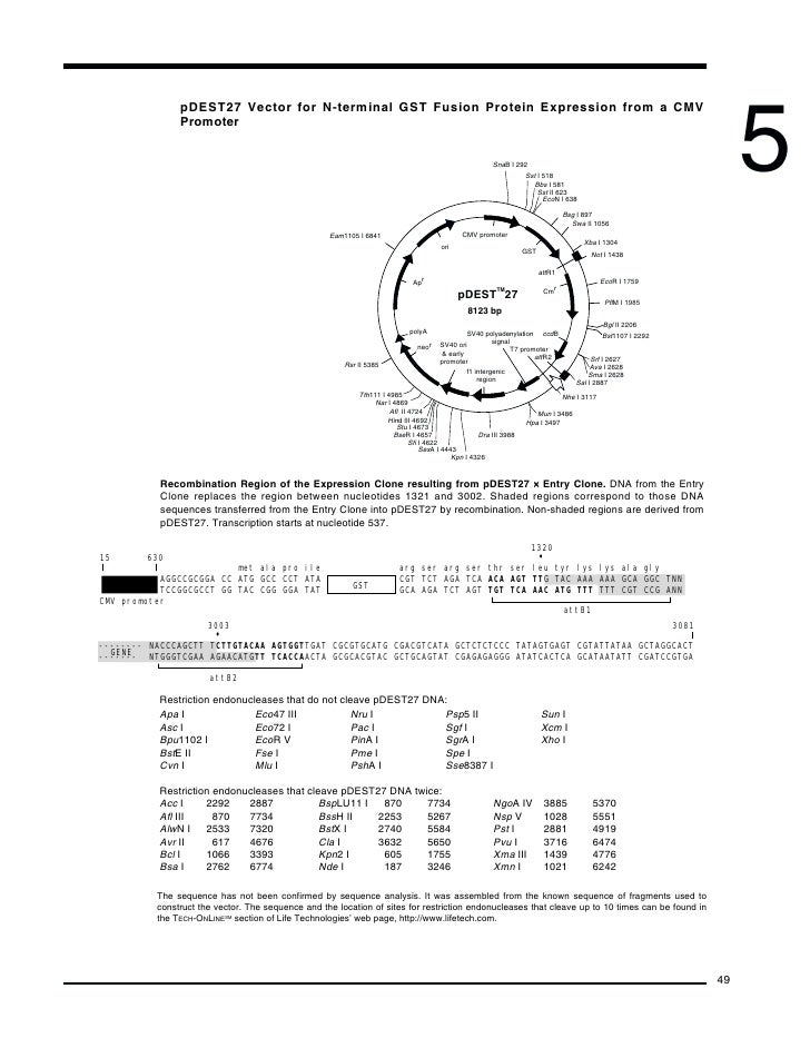 Gateway Cloning Technology - Instruction Manual