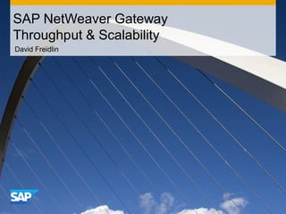 SAP NetWeaver Gateway
Throughput & Scalability
David Freidlin
 