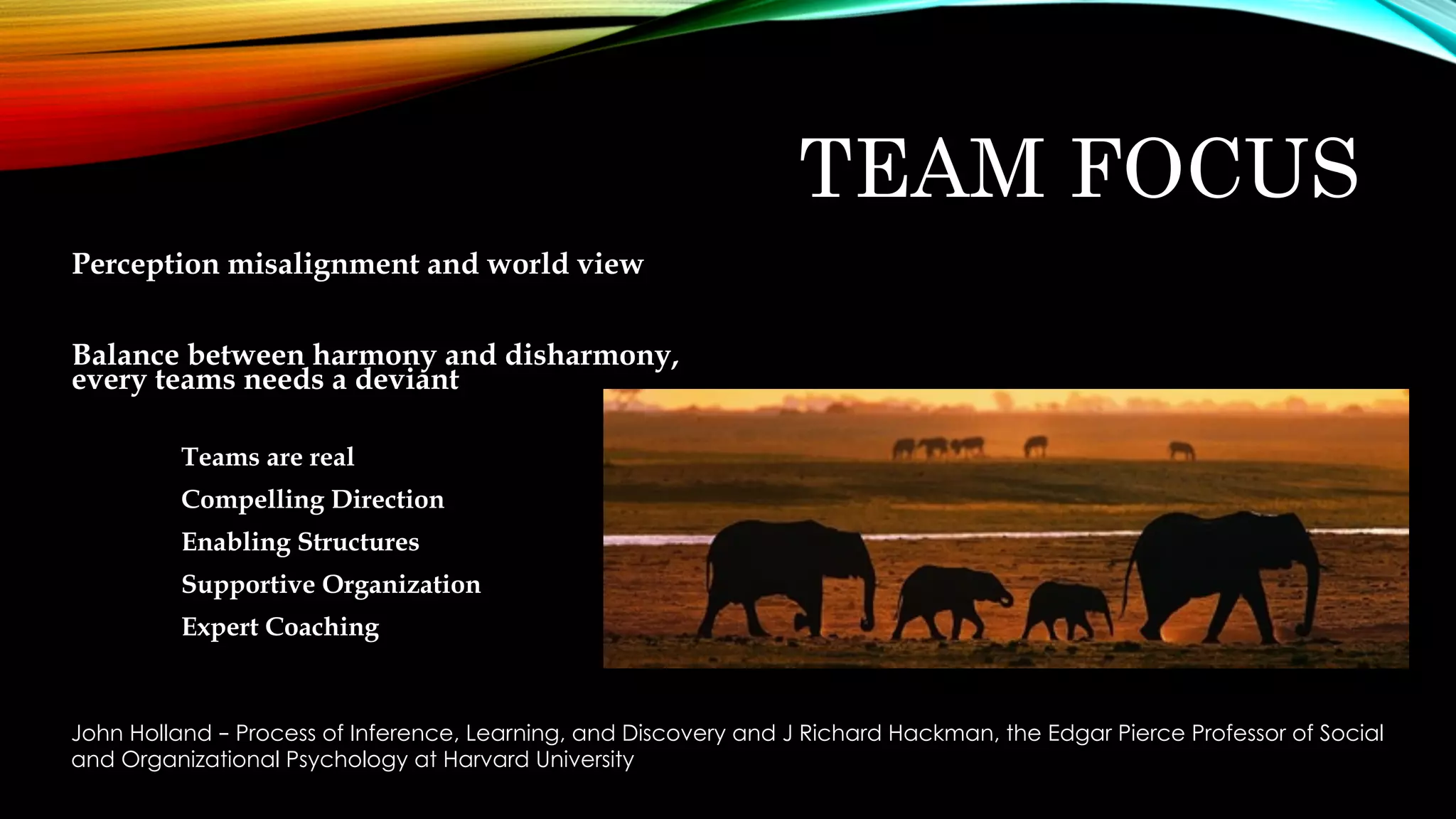 TEAM FOCUS
Perception misalignment and world view
Balance between harmony and disharmony,
every teams needs a deviant
John Holland – Process of Inference, Learning, and Discovery and J Richard Hackman, the Edgar Pierce Professor of Social
and Organizational Psychology at Harvard University
Teams are real
Compelling Direction
Enabling Structures
Supportive Organization
Expert Coaching
 