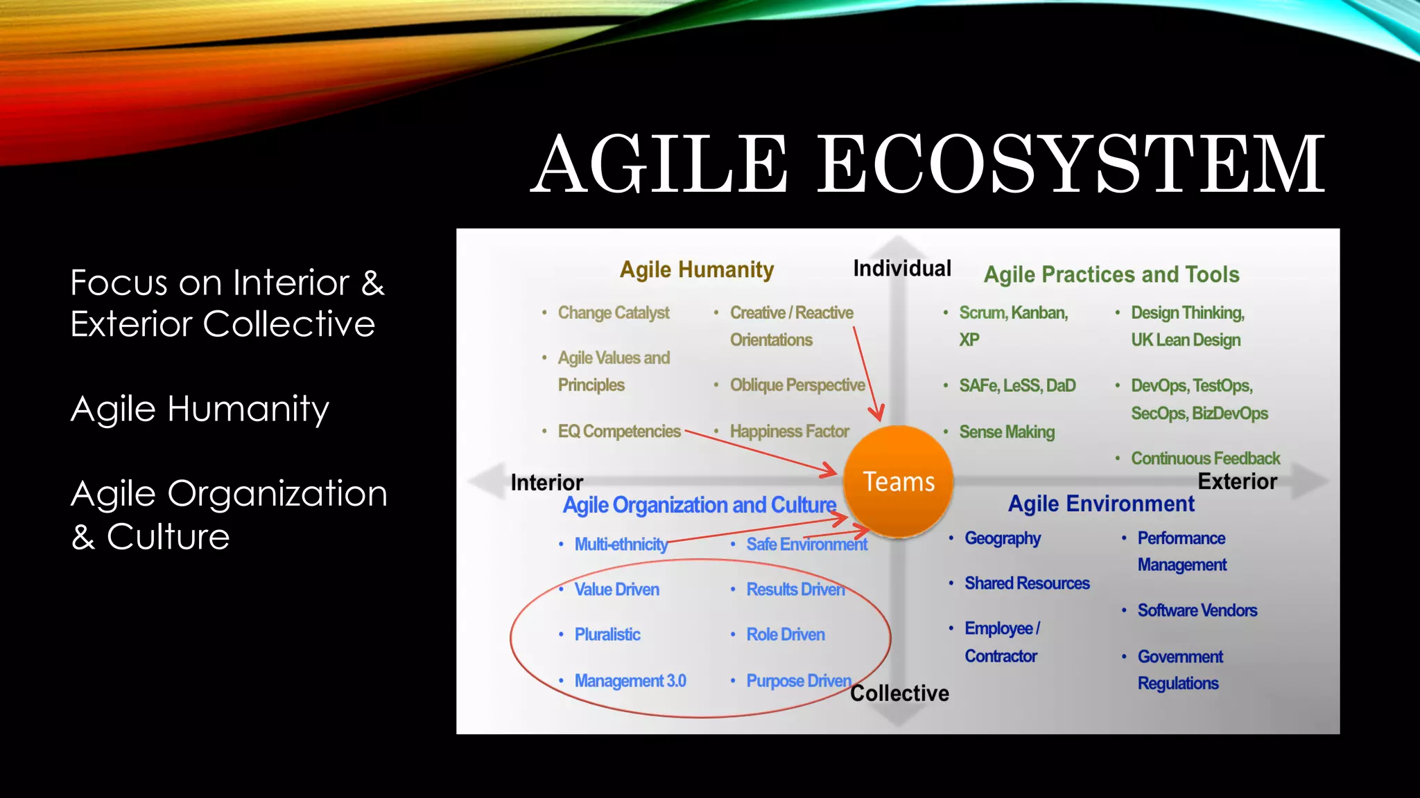 AGILE ECOSYSTEM
Focus on Interior &
Exterior Collective
Agile Humanity
Agile Organization
& Culture
 