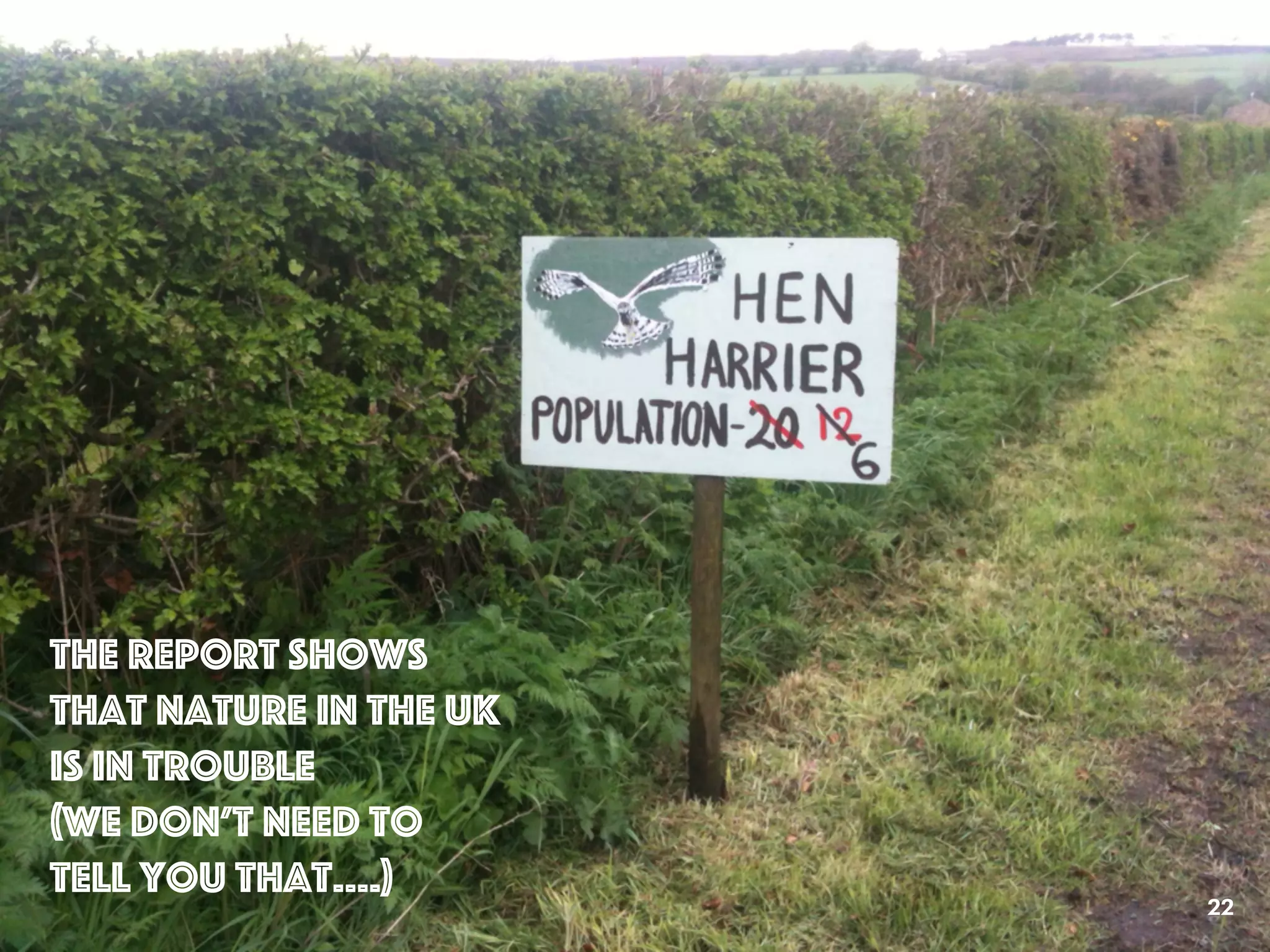 22
the report shows
that Nature iN the UK
IS In trouble
(We don’t need to
tell you that….)
 